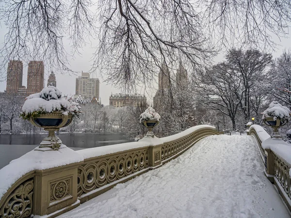 Bågbro Central Park New York City Efter Snöstorm — Stockfoto