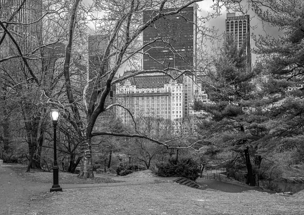 Kışın Central Park Yağmurlu Bir Günde Siyah Beyaz — Stok fotoğraf