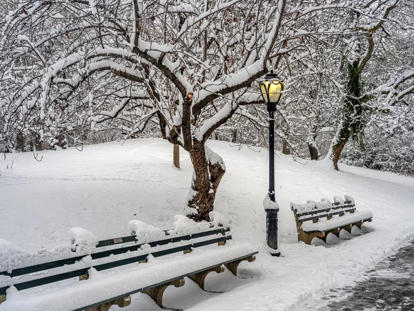 Central Park Inverno Após Tempestade Neve — Fotografia de Stock