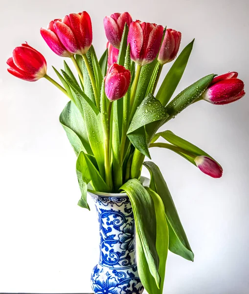 Piros Tulipán Tavasszal Elrendezve Vázában Asztalon Fehér Háttér — Stock Fotó