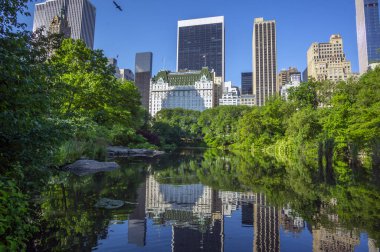 Central Park 'ın kıyısındaki Plaza Oteli, New York