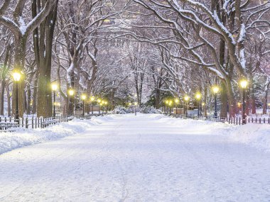 Central Park 'taki alışveriş merkezi, New York Sabahın erken saatlerinde kar fırtınasından sonra