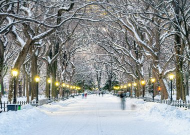 Central Park 'taki alışveriş merkezi, New York Sabahın erken saatlerinde kar fırtınasından sonra
