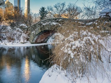 Kışın kar fırtınasından sonra, sabahın erken saatlerinde Central Park 'taki Gapstow Köprüsü.