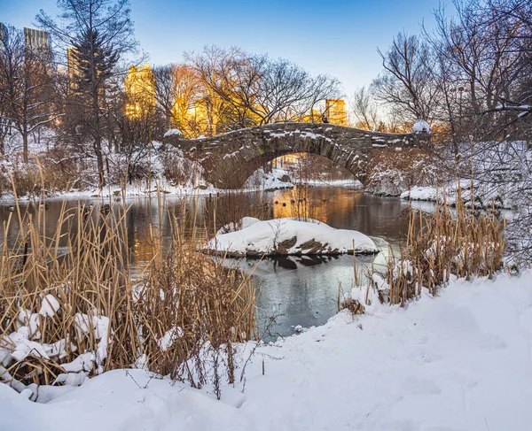 Gapstow Bridge Central Park Winter Sneeuwstorm Vroeg Ochtend — Stockfoto