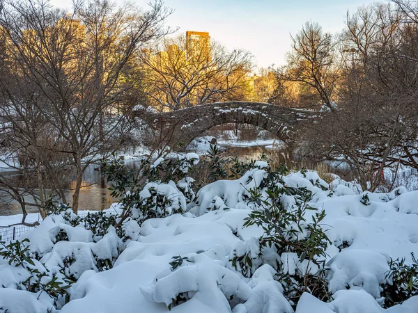 Gapstow Bridge Central Park Winter Nach Schneesturm Frühen Morgen — Stockfoto