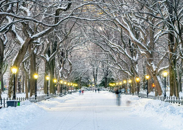 Mall Central Park New York Après Une Tempête Neige Tôt — Photo