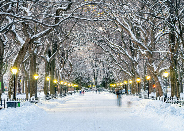 The Mall in Central Park, New York City after snow storm in early morning