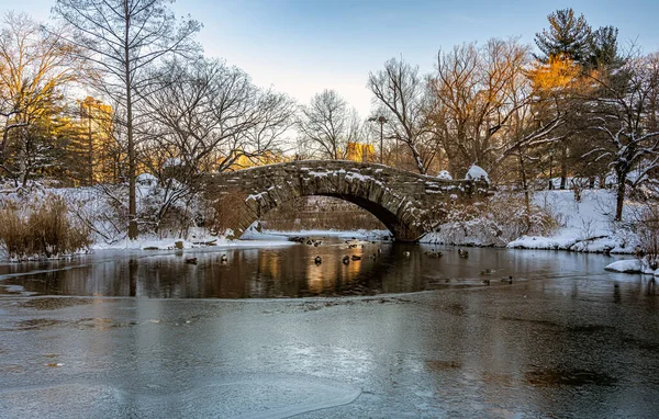 Gapstow Bridge Central Park Winter Sneeuwstorm Vroeg Ochtend — Stockfoto