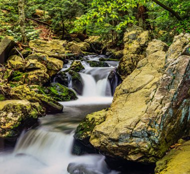 Kancamagus Otoyolu 'nun manzarası