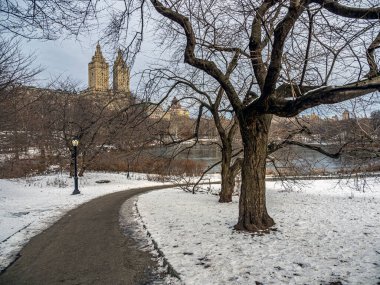 Central Park 'ta kar fırtınasından sonra, sabahın erken saatlerinde