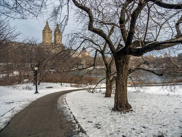 Central Park Vintern Efter Snöstorm Tidig Morgon — Stockfoto