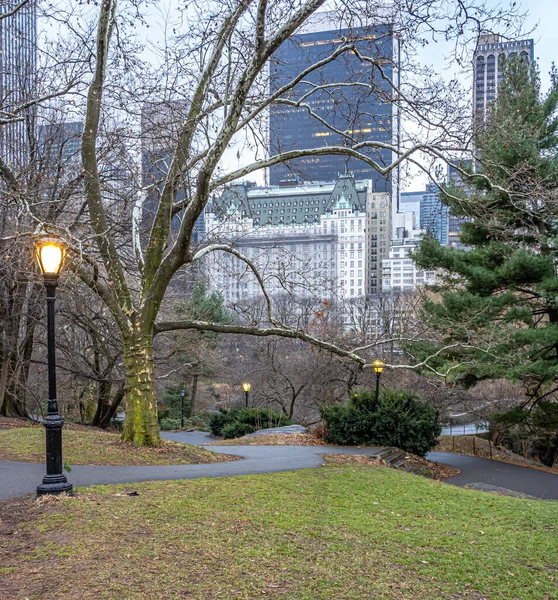 Central Park Kışın Yağmurdan Sonra Plaza Otel Manzaralı — Stok fotoğraf
