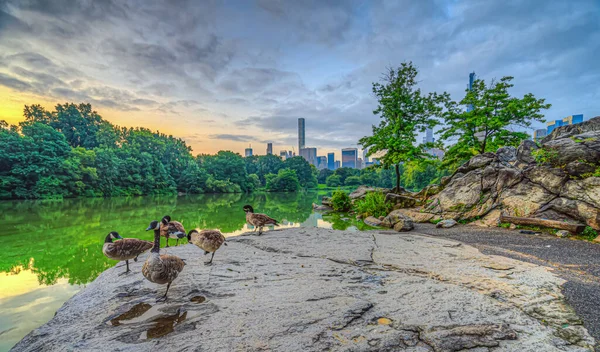 Lake Central Park New York City Manhattan — Stock Photo, Image