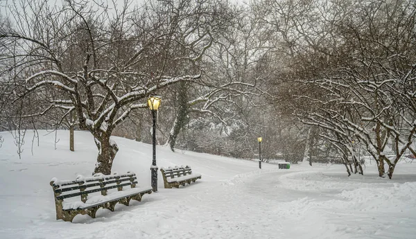 Parcul Central Iarna — Fotografie, imagine de stoc