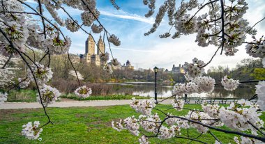 Central Park 'ta bahar, New York