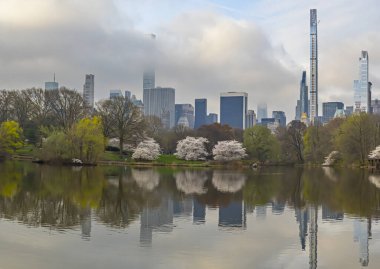 Central Park 'ta bahar, New York' ta sabah erken saatlerde gölde.