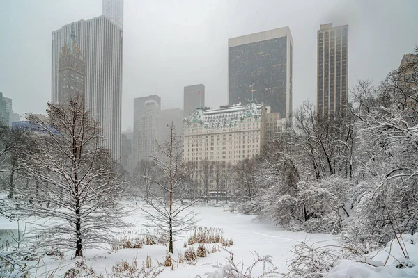 Central Park Vintern Snöstorm Med Snöstorm Förhållanden — Stockfoto