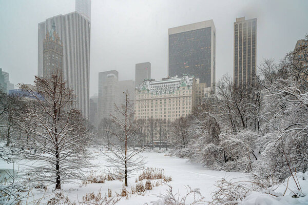 Central Park in winter during snow storm with blizzard conditions