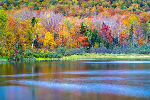 Autumn Fall Foliage Forest White Mountains Hampshire — Stock Photo, Image