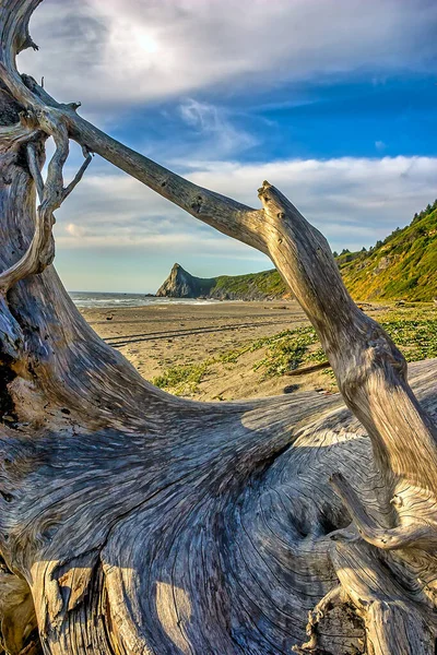 Northern California Patricks Point Est Une Communauté Non Incorporée Comté — Photo