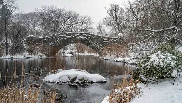 Central Park Nova York Inverno Após Tempestade Neve — Fotografia de Stock