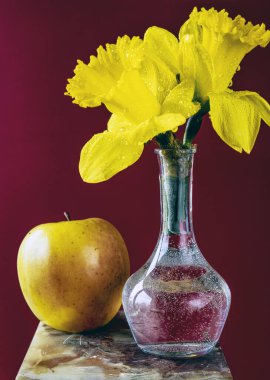 Narcissus, Amaryllidaceae familyasına ait bir bitki cinsidir. Nergis de dahil olmak üzere çeşitli yaygın isimler