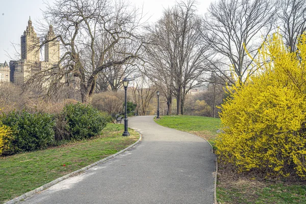 Spring Central Park New York City — Stock Photo, Image