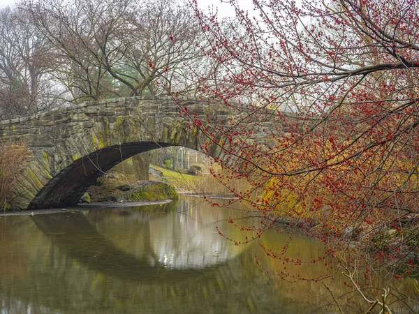 Gapstow Bridge Central Park Tidigt Våren Med Spirande Lönnträd Tät — Stockfoto