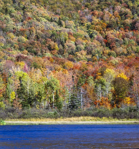 Autumn Swift River New Hampshire — Stock Photo, Image