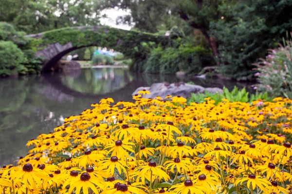 Ponte Gapstow Central Park — Fotografia de Stock