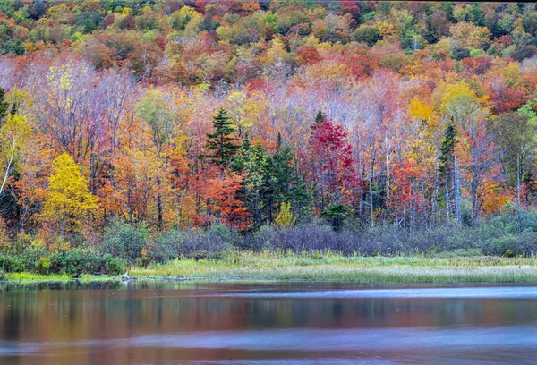 Autumn Swift River New Hampshire — Stock Photo, Image