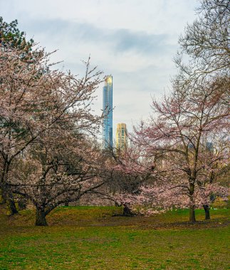 Central Park 'ta bahar, New York