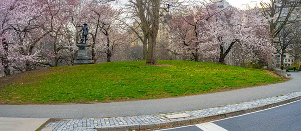 Primavera Central Park New York Collina Pellegrina — Foto Stock