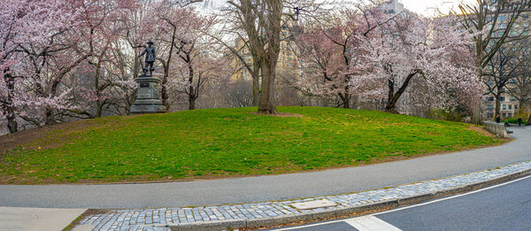 Spring in Central Park, New York City, pilgrim hill