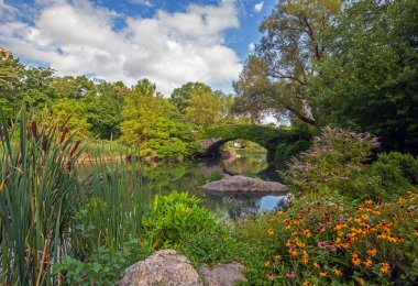 Baharın başında Central Park 'taki Gapstow Köprüsü