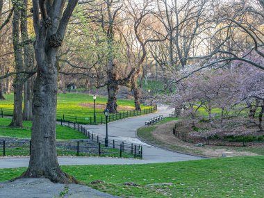 Central Park 'ta bahar, New York