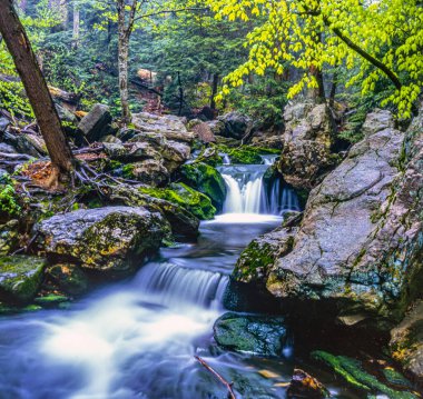 Sonbahar New Hampshire 'daki Swift nehrinde