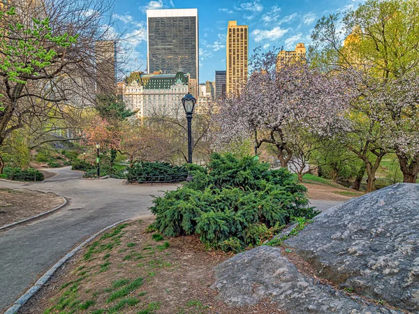 Central Park Bahar New York — Stok fotoğraf