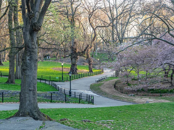 Tavasz Central Parkban New York City — Stock Fotó