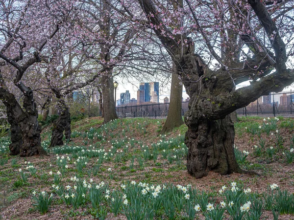 Central Park 'ta bahar, New York
