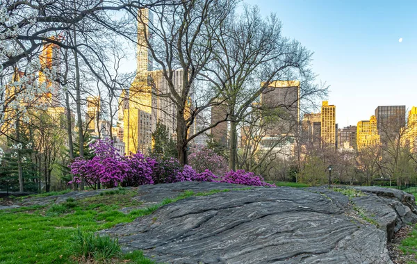 Frühling Central Park New York City — Stockfoto