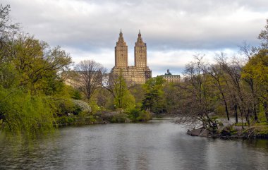 Baharda Central Park 'ta, New York City' de sabahın erken saatlerinde çiçek açan ağaçlarla