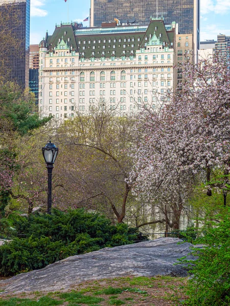 Frühling Central Park New York City Vor Dem Plaza Hotel — Stockfoto