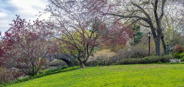 Most Gapstow Central Parku Wiosnę Kwitnącymi Drzewami — Zdjęcie stockowe
