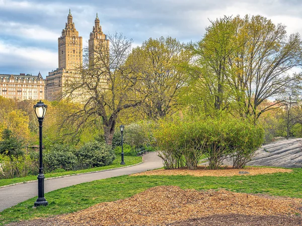 Printemps Central Park New York Tôt Matin Avec Des Arbres — Photo