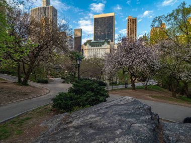 Central Park 'ın kenarındaki Plaza Oteli, New York City, Central Park manzaralı.