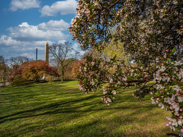 Primavera Central Park Nueva York Con Vista Aguja Cleopatra — Foto de Stock