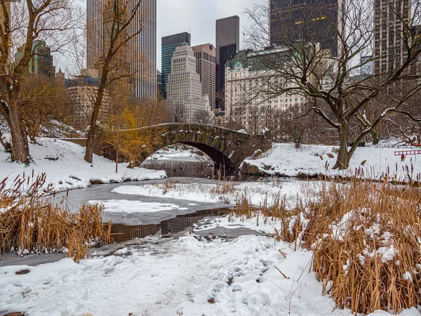 Gapstow Bridge Central Park Vintern Efter Snöstorm Tidig Morgon — Stockfoto