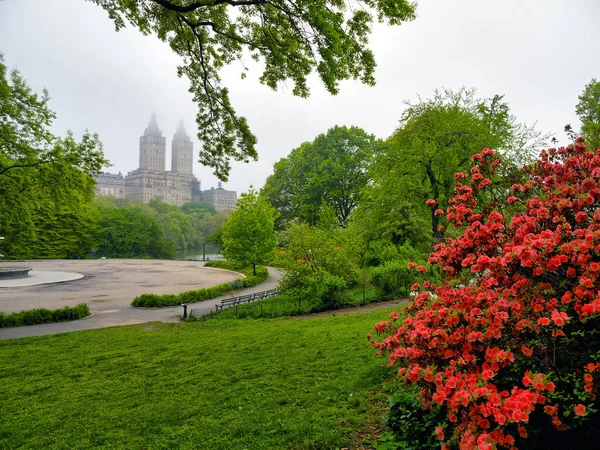 Lente Central Park New York City Mistige Ochtend — Stockfoto